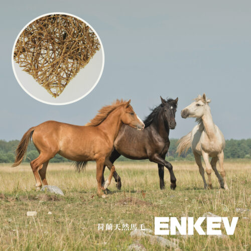 荷蘭 ENKEV 馬毛